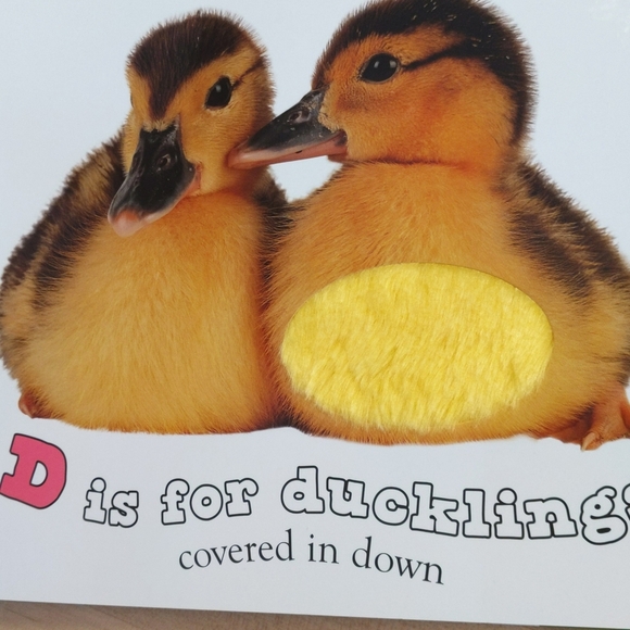 b is for bear by priddy books touch & feel baby toddler alphabet board book - Picture 6 of 9